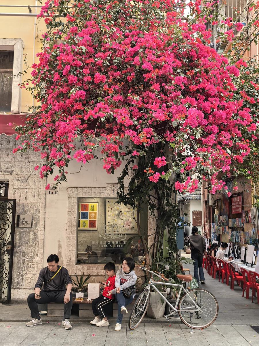 Bougainvillea view through Dafen museum window