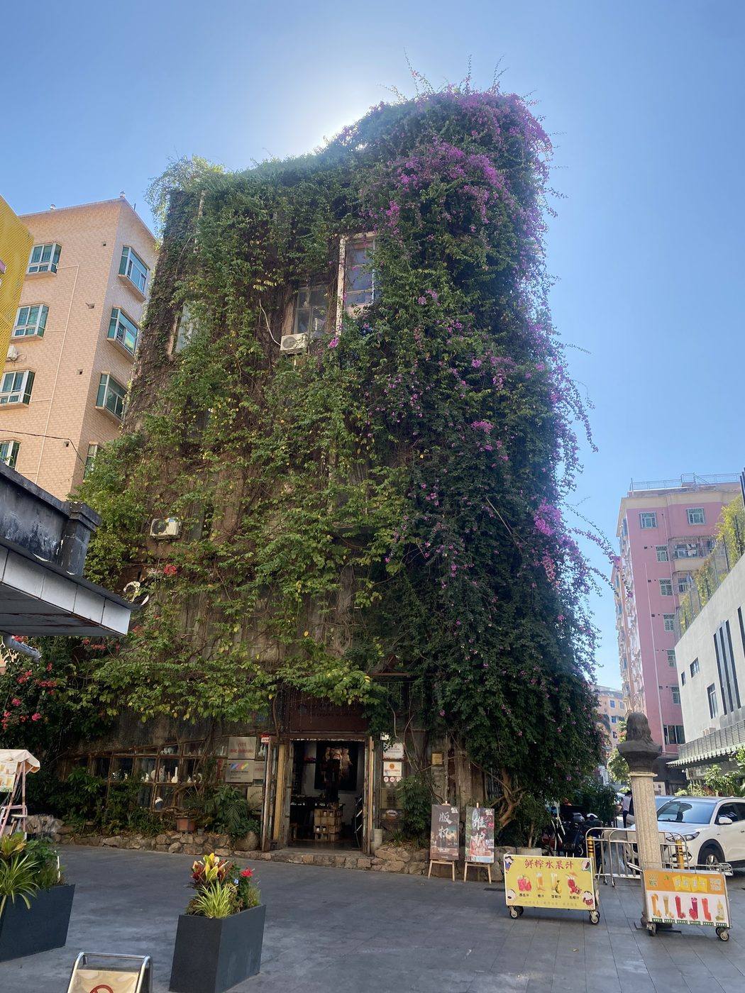 Bougainvillea-lined street in Dafen village