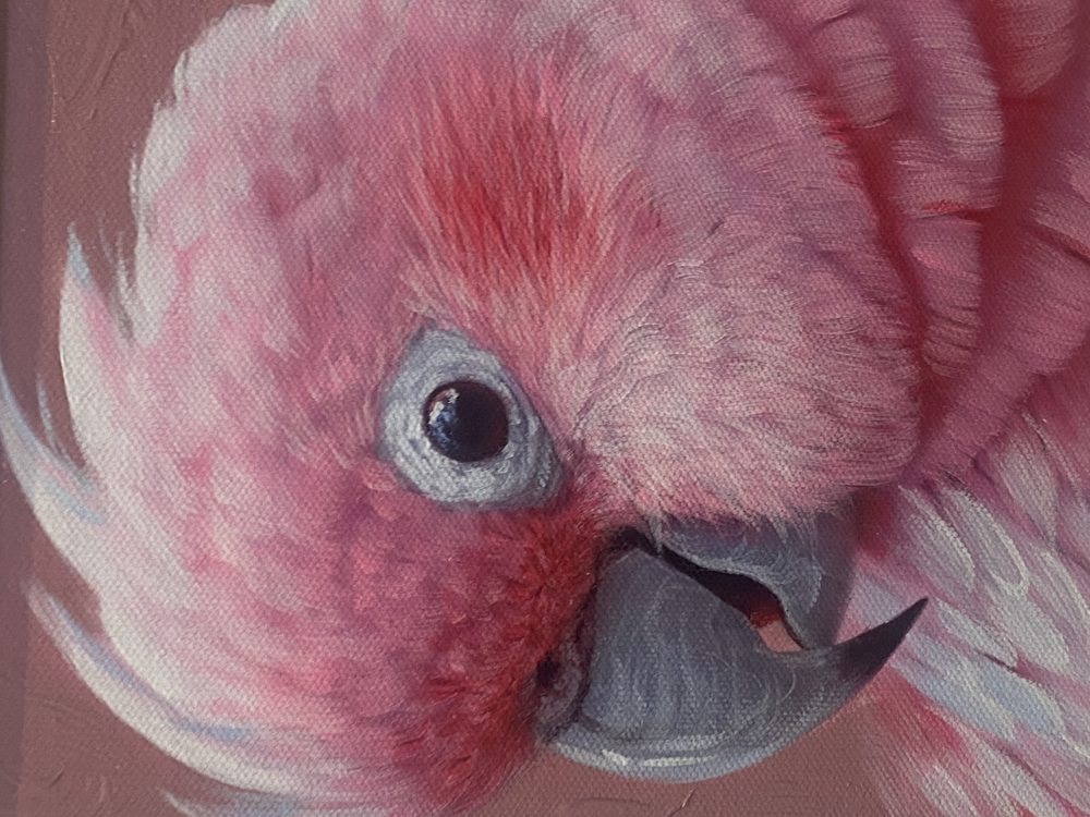 Close-up of a realistic oil-painted parrot eye