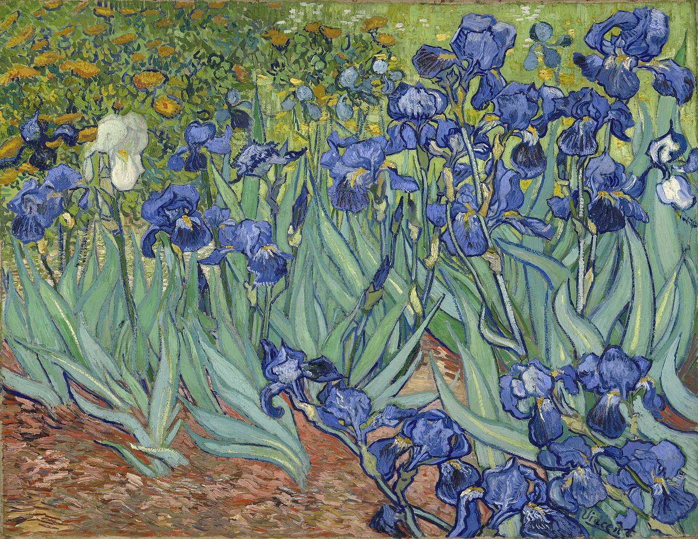 Hand-painted oil reproduction of Van Gogh's Irises with blue violet flower blades and red brown earth